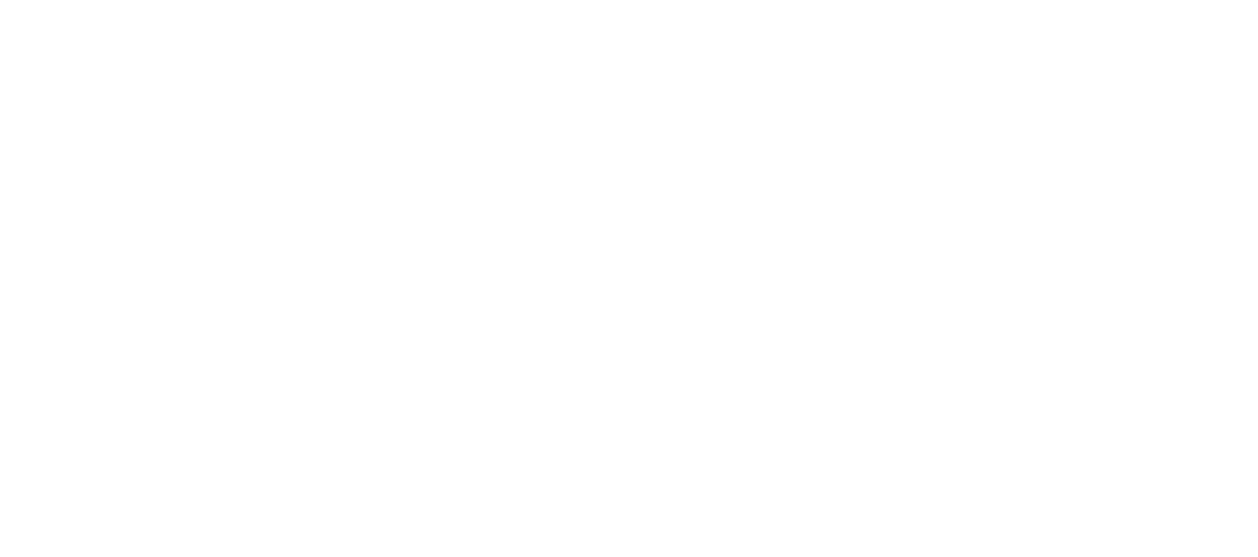 LENMIRIOT